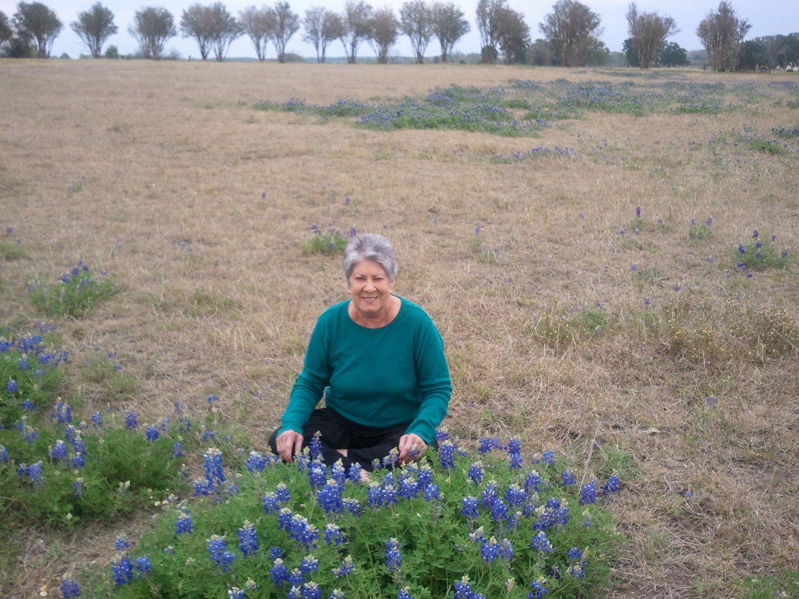 Obituary of Lois V. Brooks