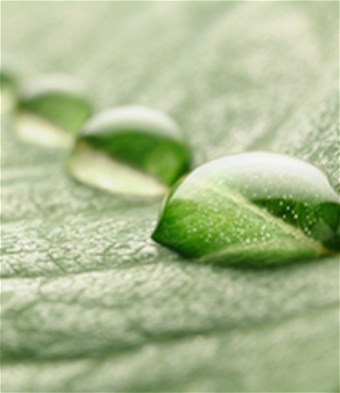 Obituary of Steven Earl Jensen