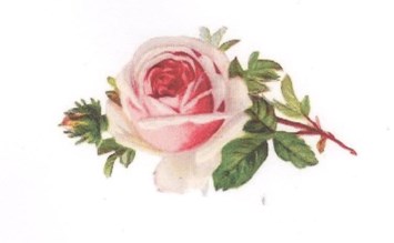 Obituary of Helen Louise Arnold