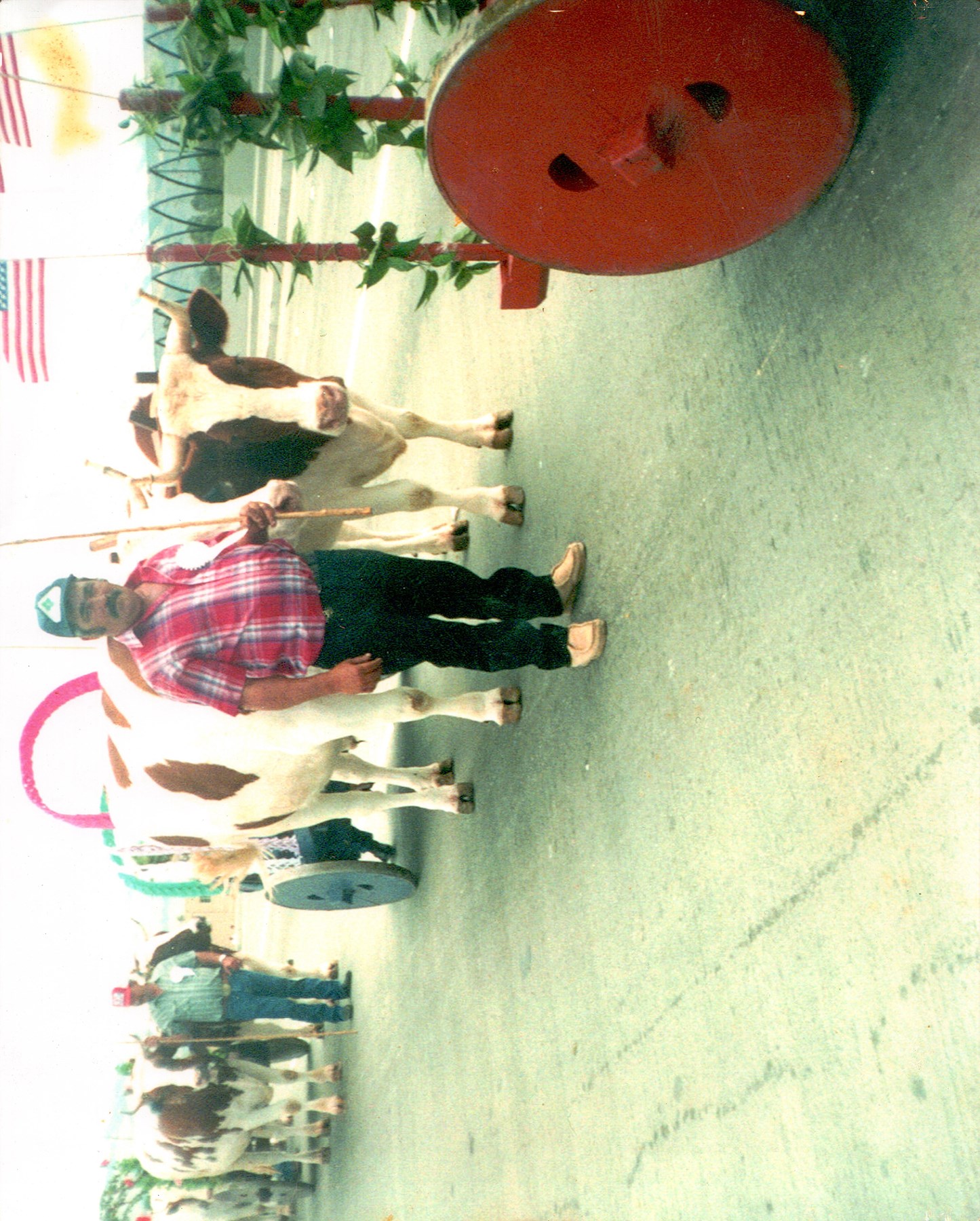 Obituary of José Horacio Brasil