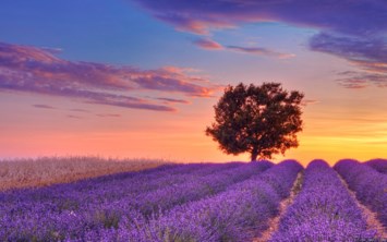 Obituary of Jill Ryan