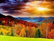 Avis de décès de Stanley J. Bush