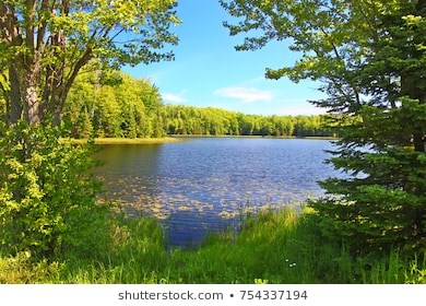 Obituary of Michael Joseph Ryan