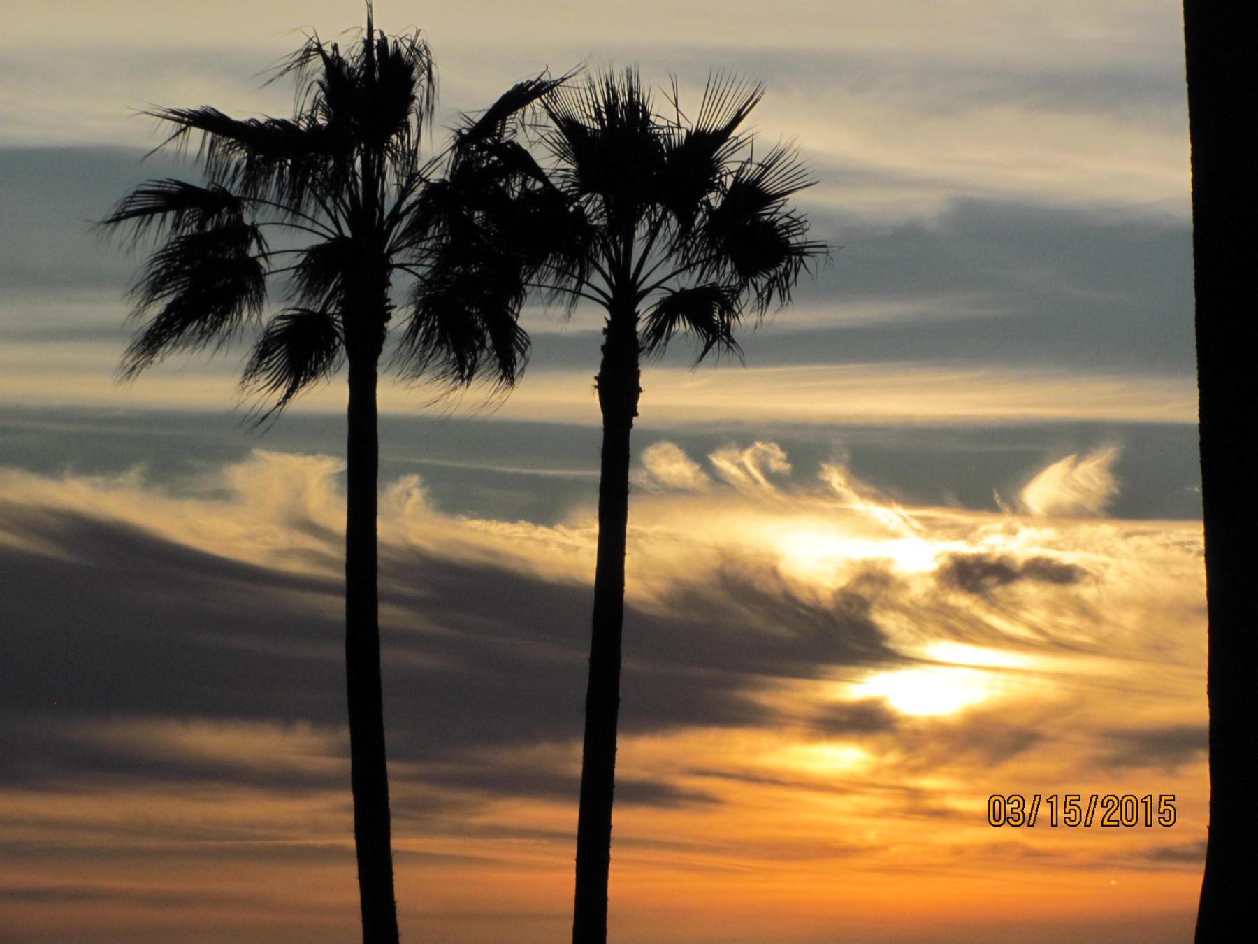 Obituary of Miles Raymond Foster