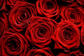 Obituary of Ann Jeanette Lovelady