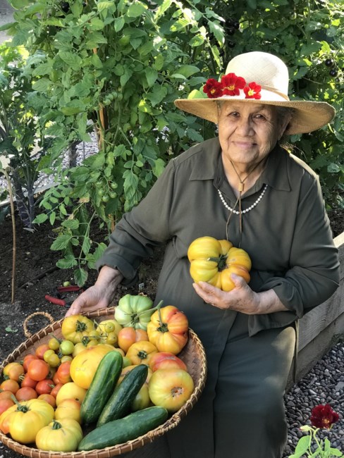 Obituary of Mrs. Ana Maria Mota