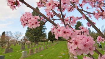 Obituary of Gerald W Minato