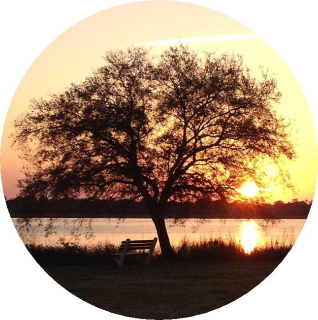 Obituary of Michael Phillips