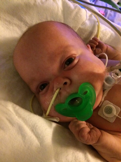 Obituary of Riley Christopher Scanlon