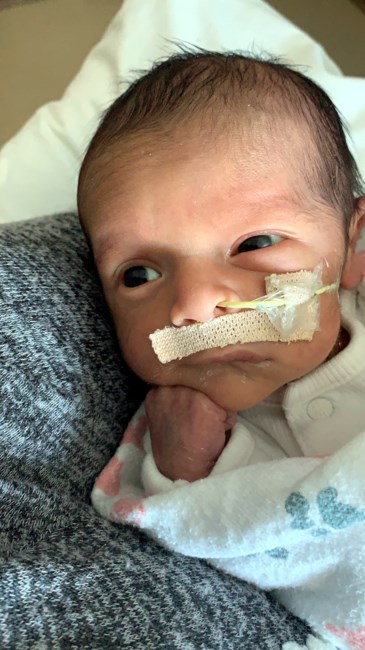 Obituary of Jayden Mateo Fonseca Javier