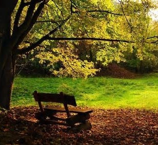 Obituary of Alford Jonathan Davis