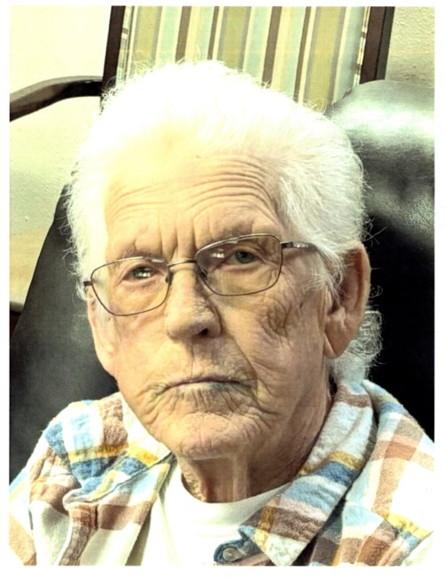 Obituary of Wanda Faye Williams