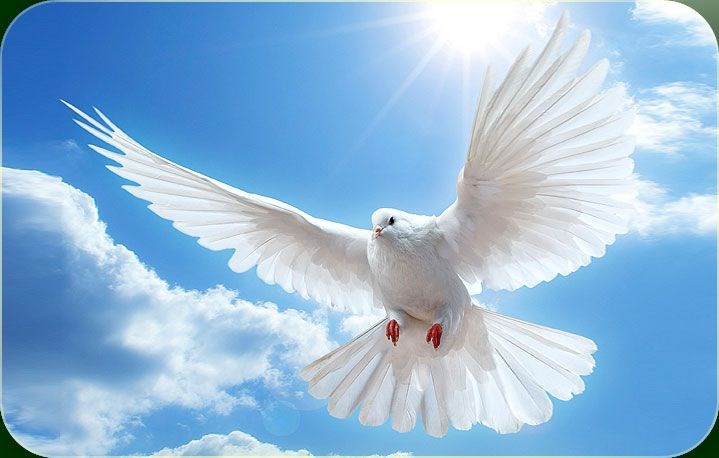 Obituary of Anita Diaz