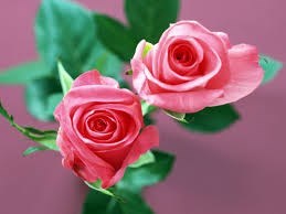 Obituary of Catherine Arnone