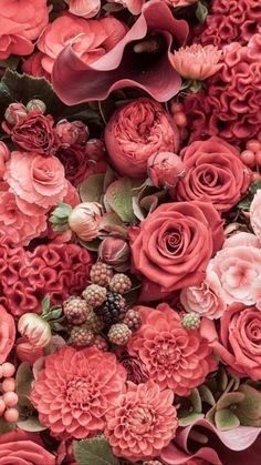 Obituary of Annette Pelen