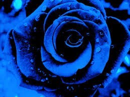 Obituary of Ronald Vernon Roe