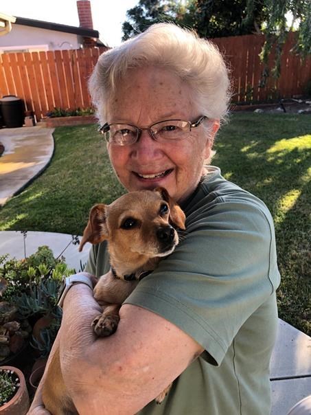 Obituary of Carol Ann Rice Mahedy
