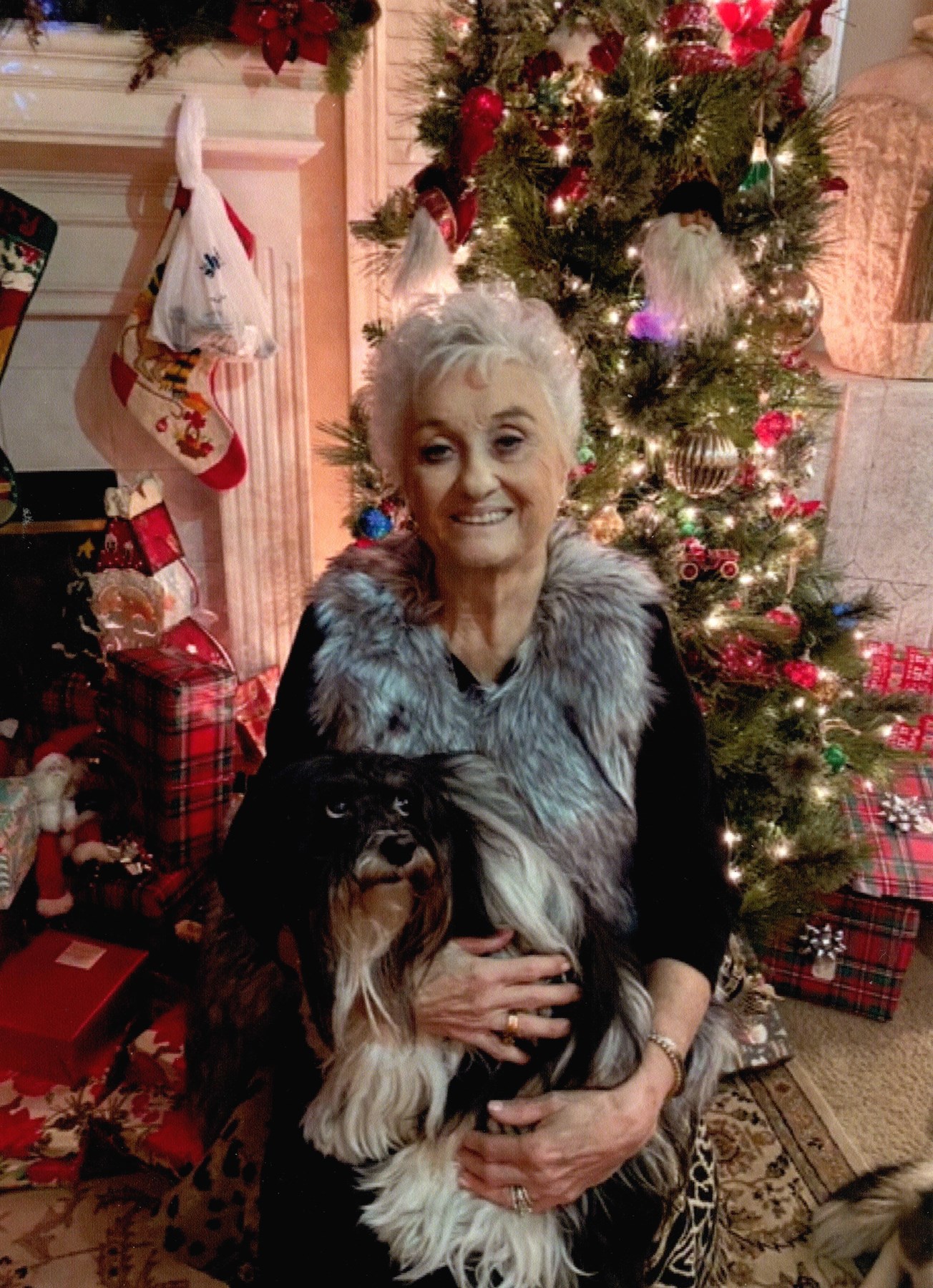 Shirley Ann Reed Obituary - Kansas City, MO