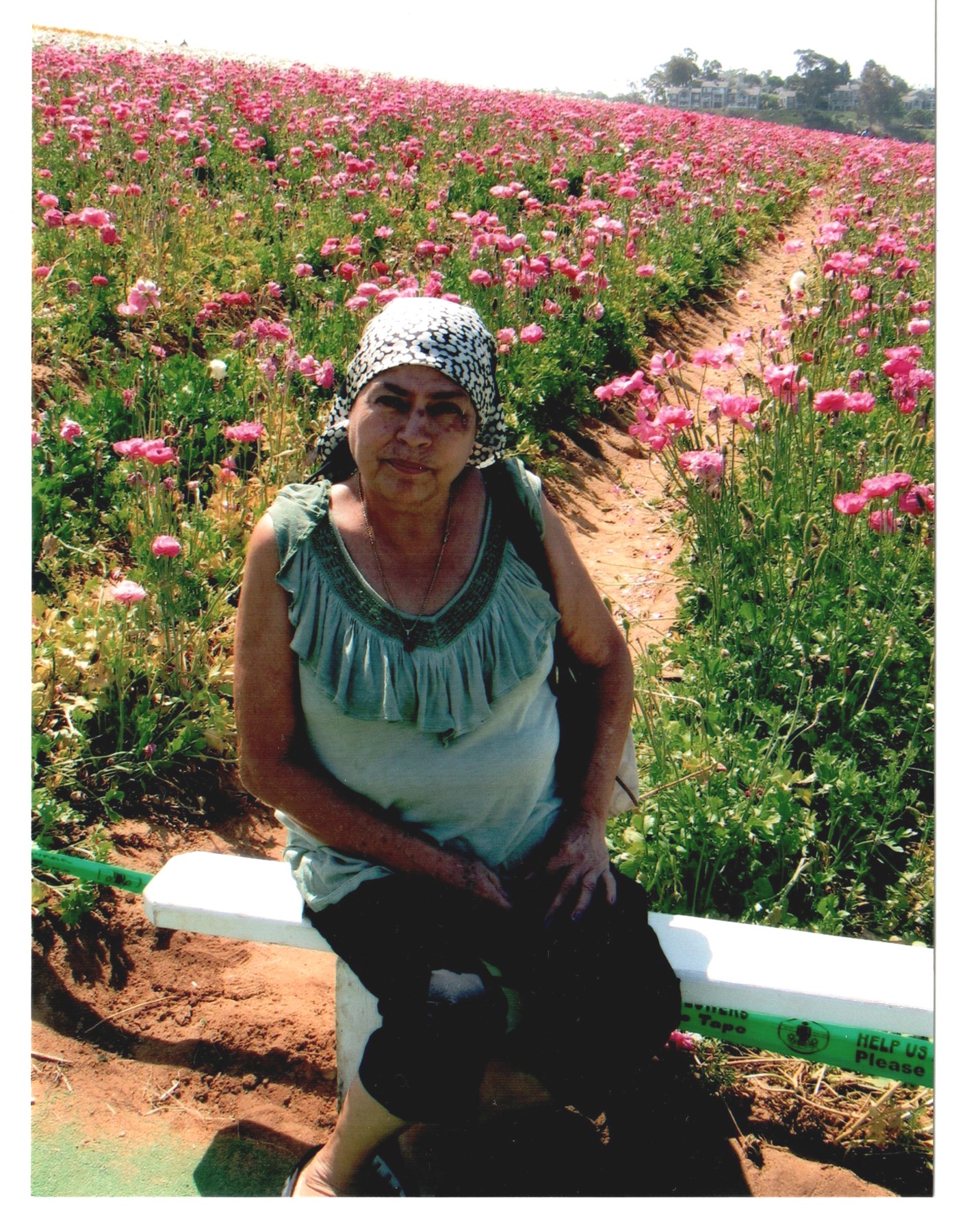 Maria Inez Valdivia Obituary Anaheim, CA