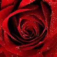 Obituary of Phyllis Elaine Smith