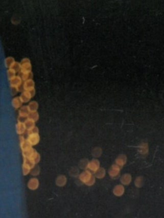 Young & Young Funeral Home Obituary Young & Young Funeral Home Obituary