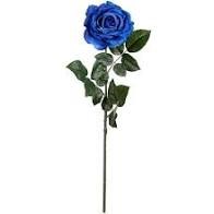 Obituary of Alfredo Garcia