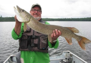 Obituario de Dan L Mosier