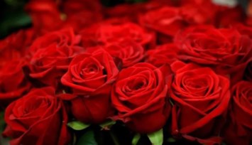 Obituario de Fatima Magallanes