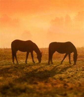 Obituary of Dana Robert Duquette