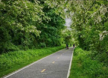 Obituary of Eleanor M. Medici