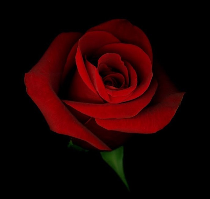 Obituary of Margaret E. Wagner Ball