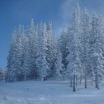 Obituary of Combs Leon Shy