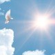Obituary of Carol Ann Blais