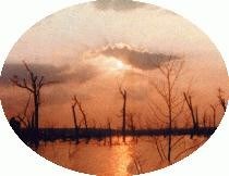 Obituary of Daniel Tipton Branch