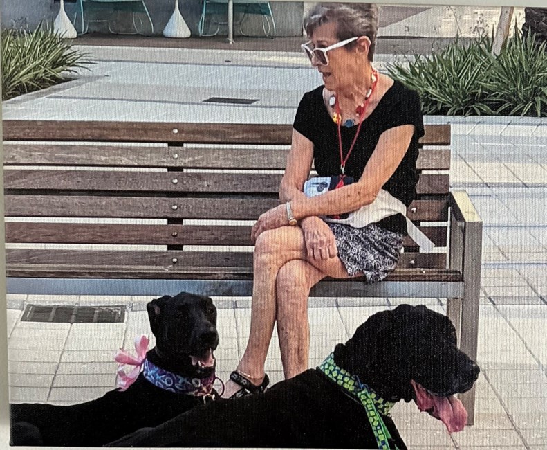 Obituary of Arlene Frances Shapiro