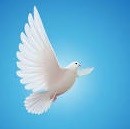 Obituary of Deborah Ann Pacheco