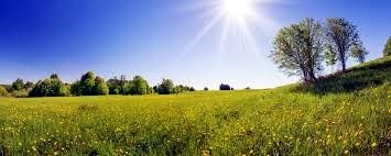 Avis de décès de Linda Swartout