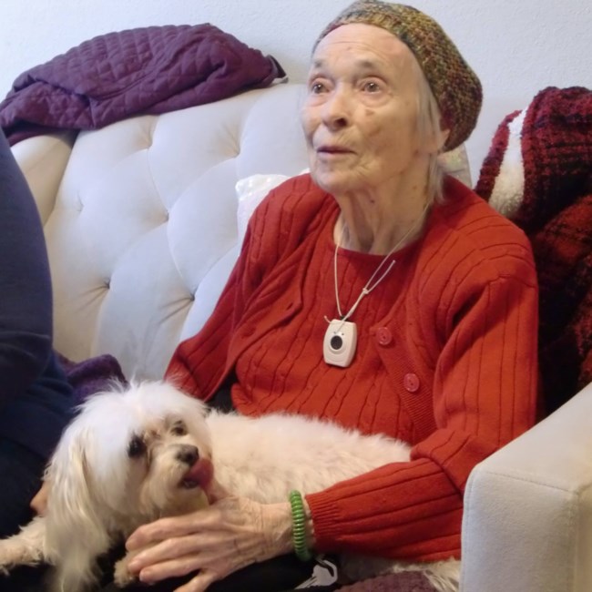 Obituary of Frances Mercier Bamberger