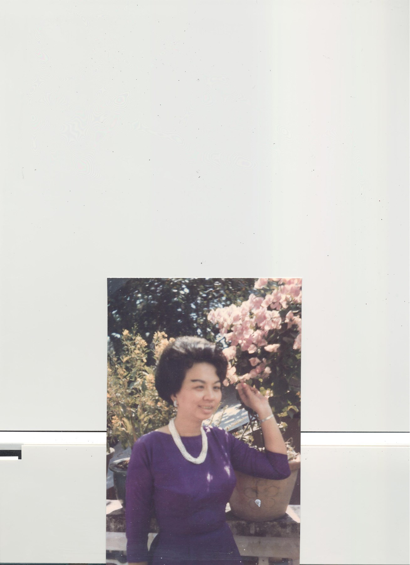 Obituary of Hai Thi Vo