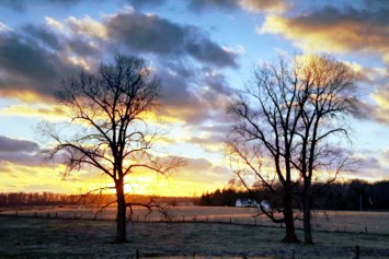 Obituario de Earl Daniel Tucker Jr.