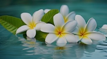 Obituary of Maria Teresa Dixon