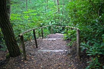 Obituary of Clayton James Rodrigues