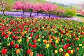 Obituary of Louis James Mims