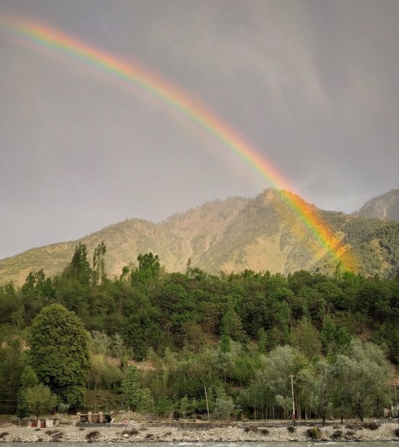 Obituary of Louis R. Lengacher