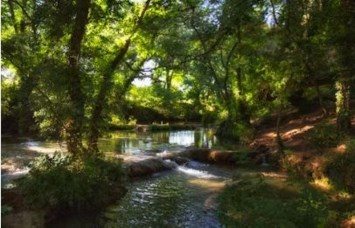 Obituary of Timothy Amos Miller