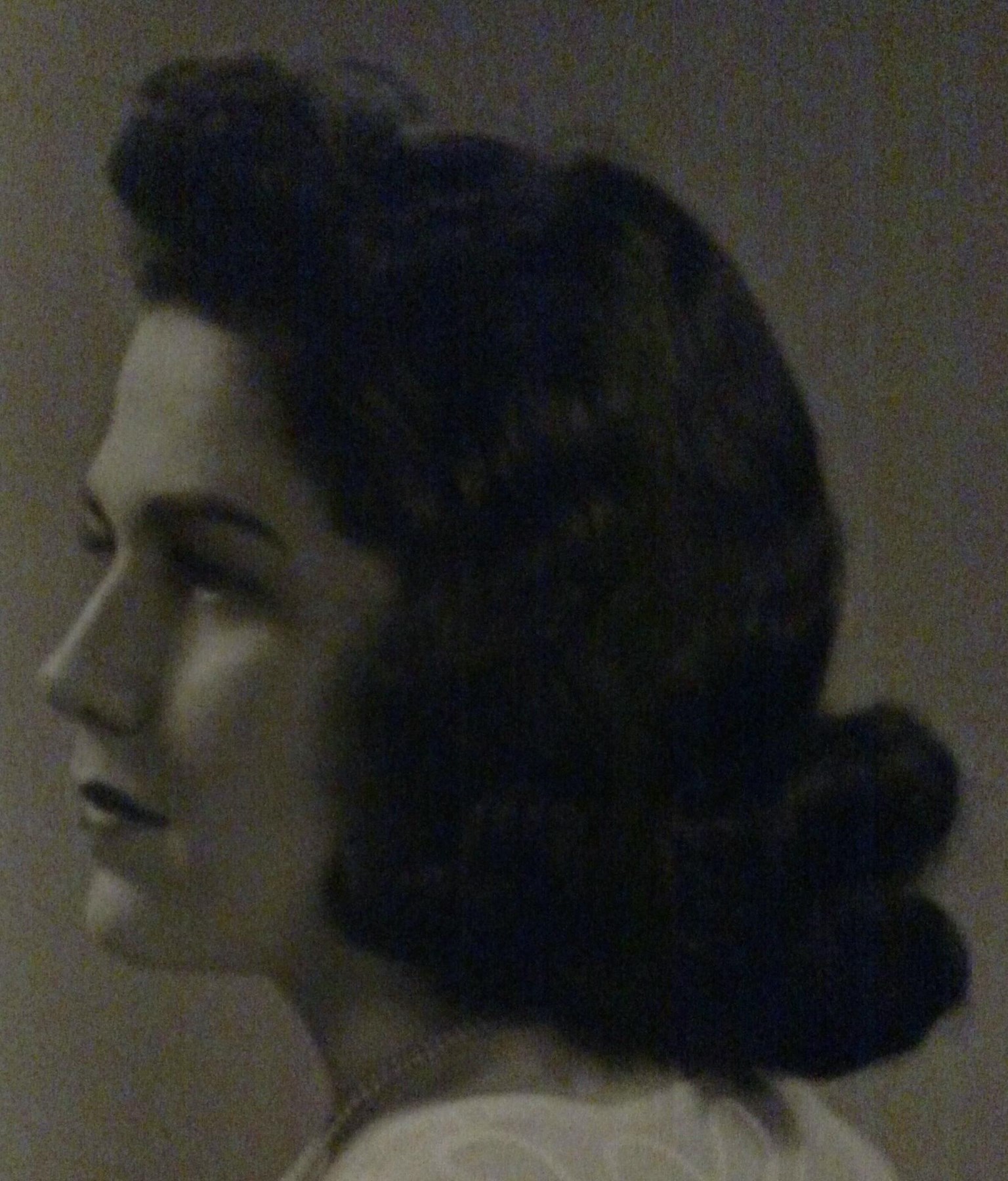 Charlotte Sherman Obituary St Louis, MO