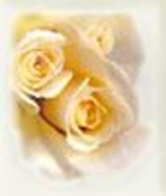 Obituary of Daniel Roberts