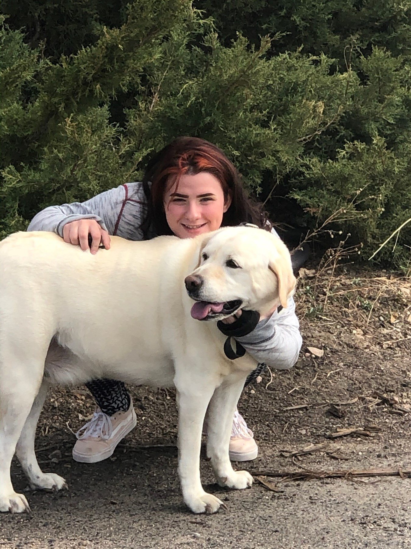 Avis de décès de Angelina Denise Stephenson