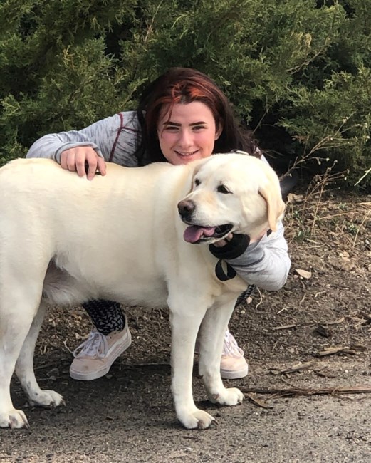 Obituary of Angelina Denise Stephenson