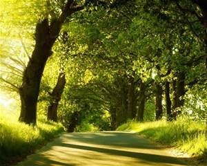 Obituary of Bill Hannah